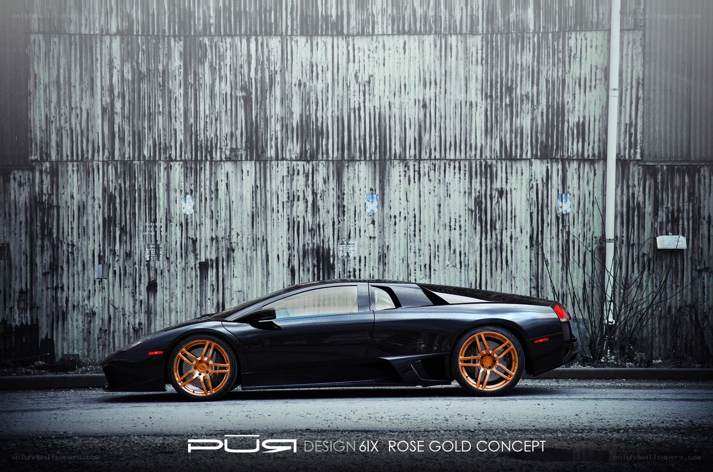 Black Lamborghini with rose gold wheels