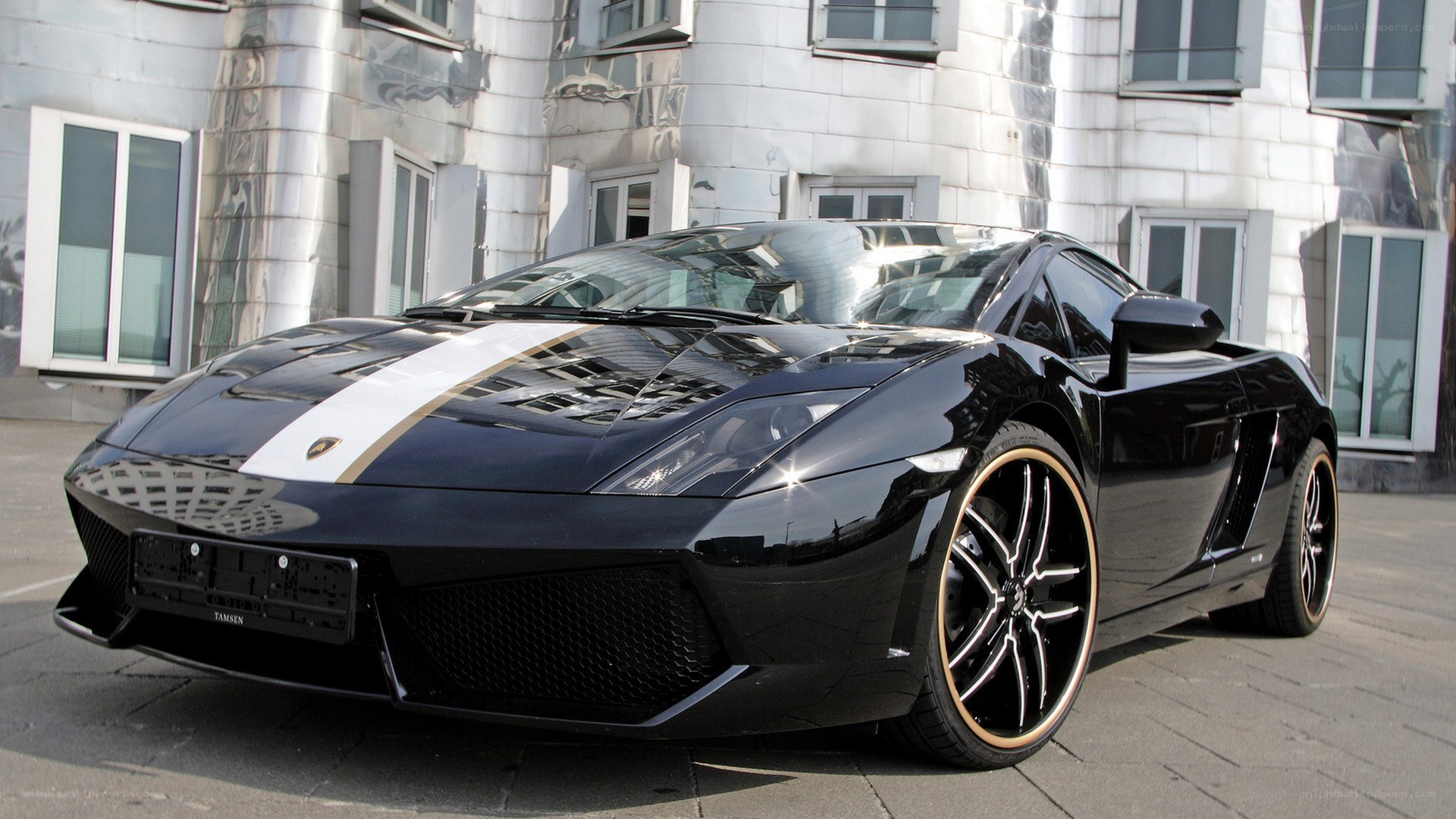 Black Lamborghini with white stripe