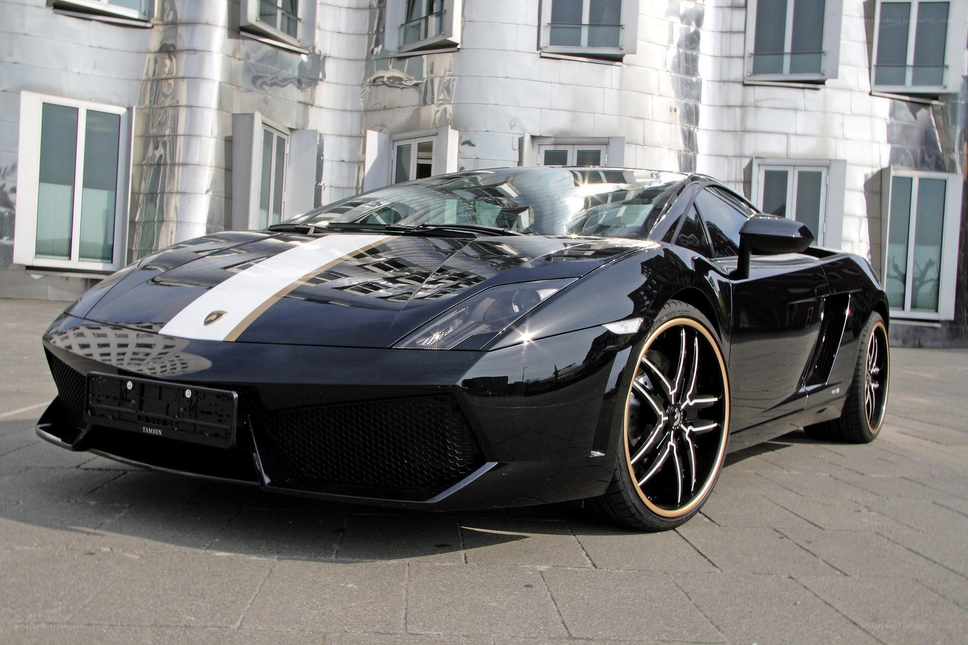 Black Lamborghini with white stripe