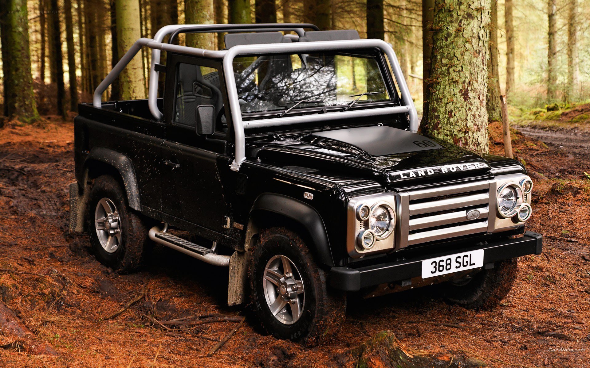 Black Land Rover in forest