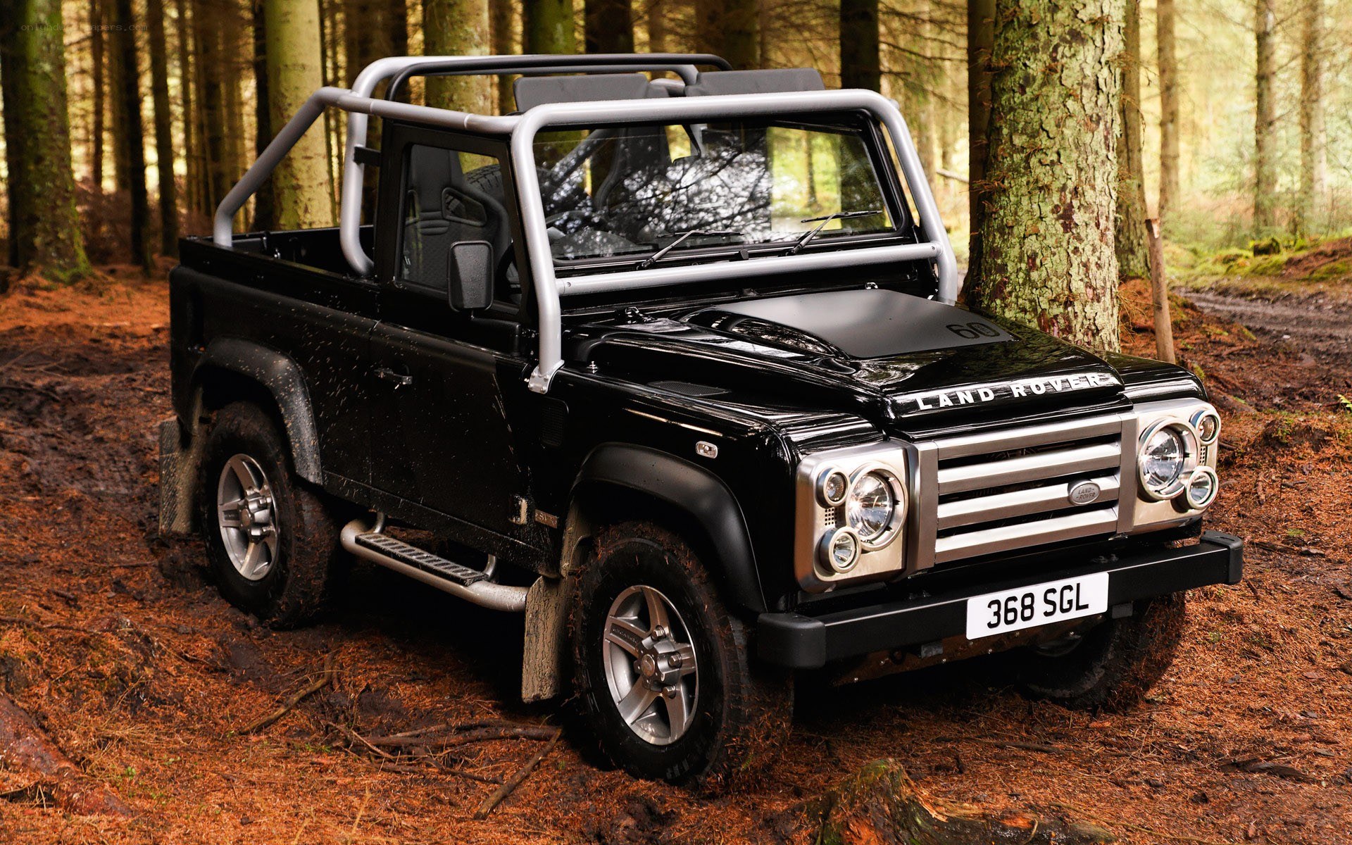 Black Land Rover in forest