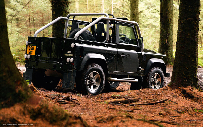 Black Land Rover in Forest — Natural, Afternoon