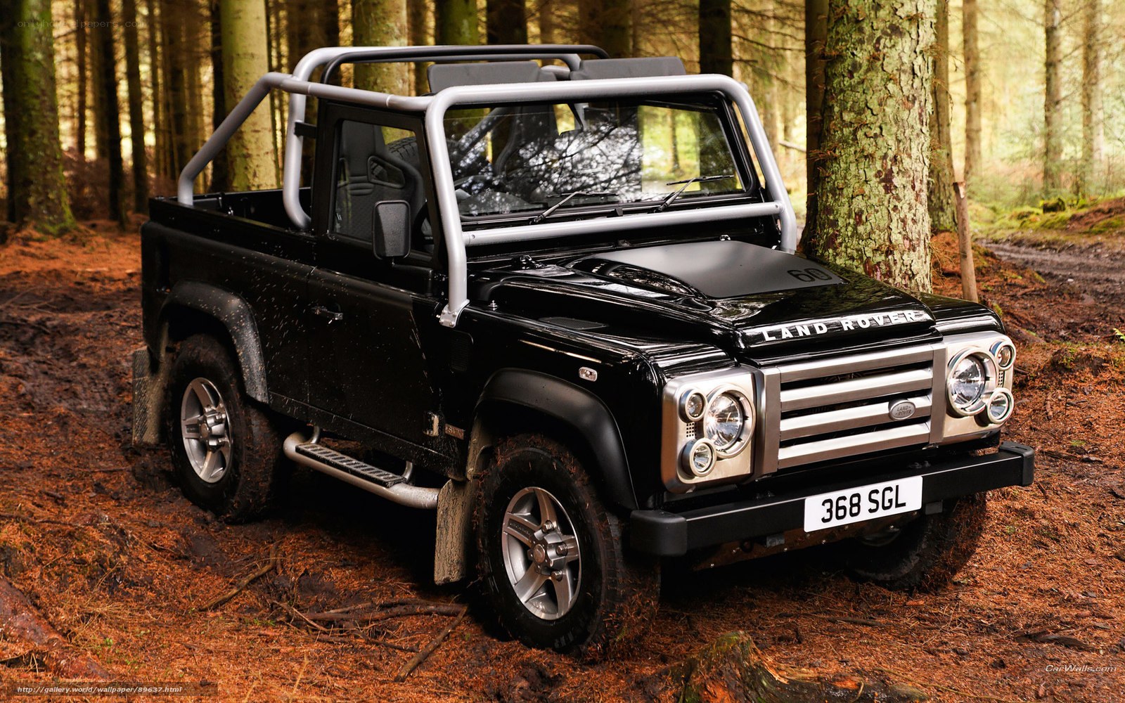 Black Land Rover in forest