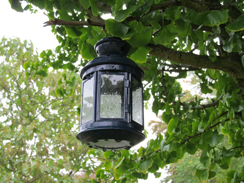 Black Lantern Hanging from Tree