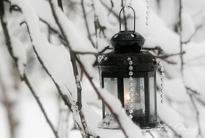 Black Lantern in Snow