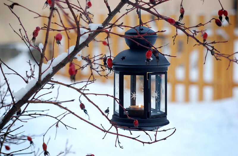 Black Lantern on Branch