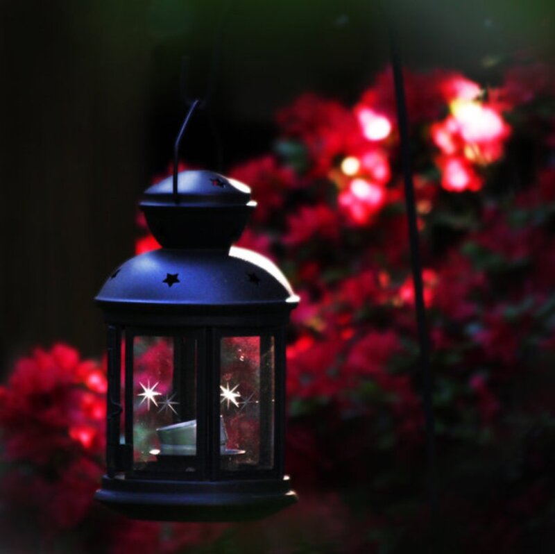 Black Lantern with Stars