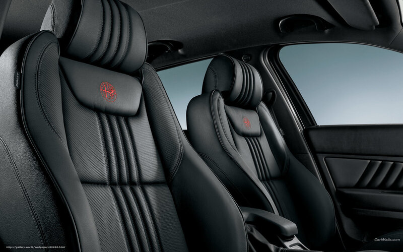 Black Leather Car Seats — Neutral, Photograph