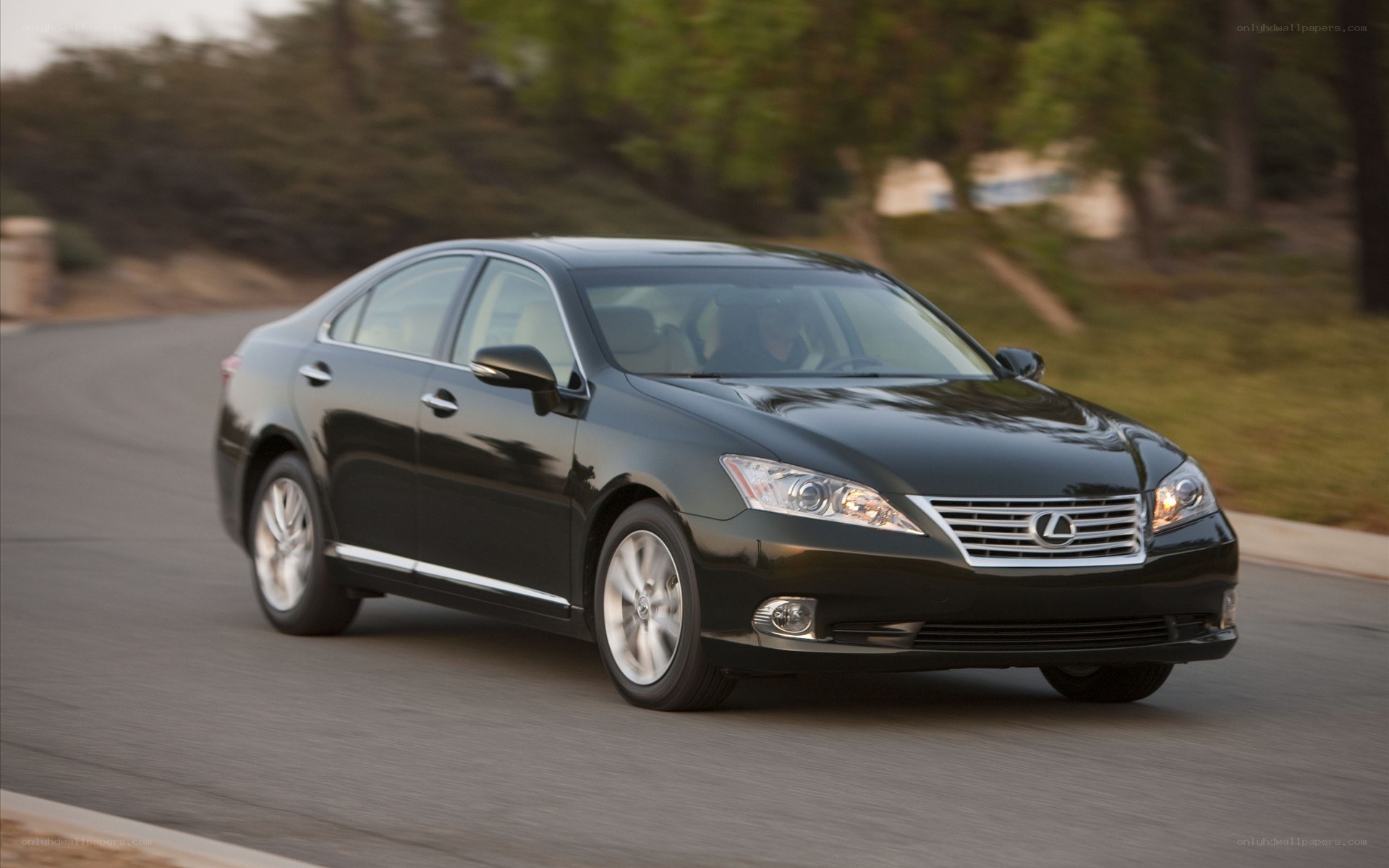 black lexus driving on road