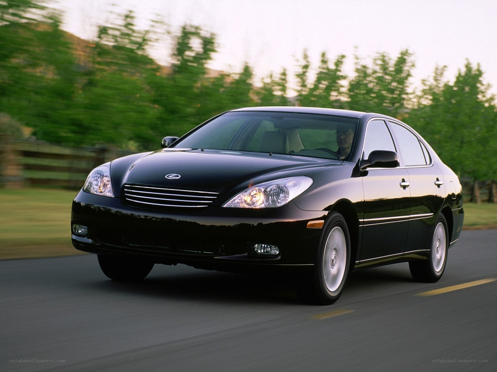 black lexus driving on road