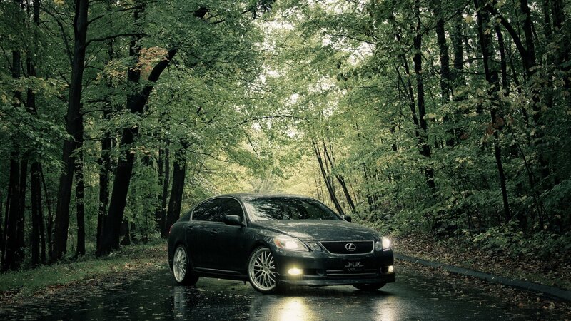 Black Lexus in a forest