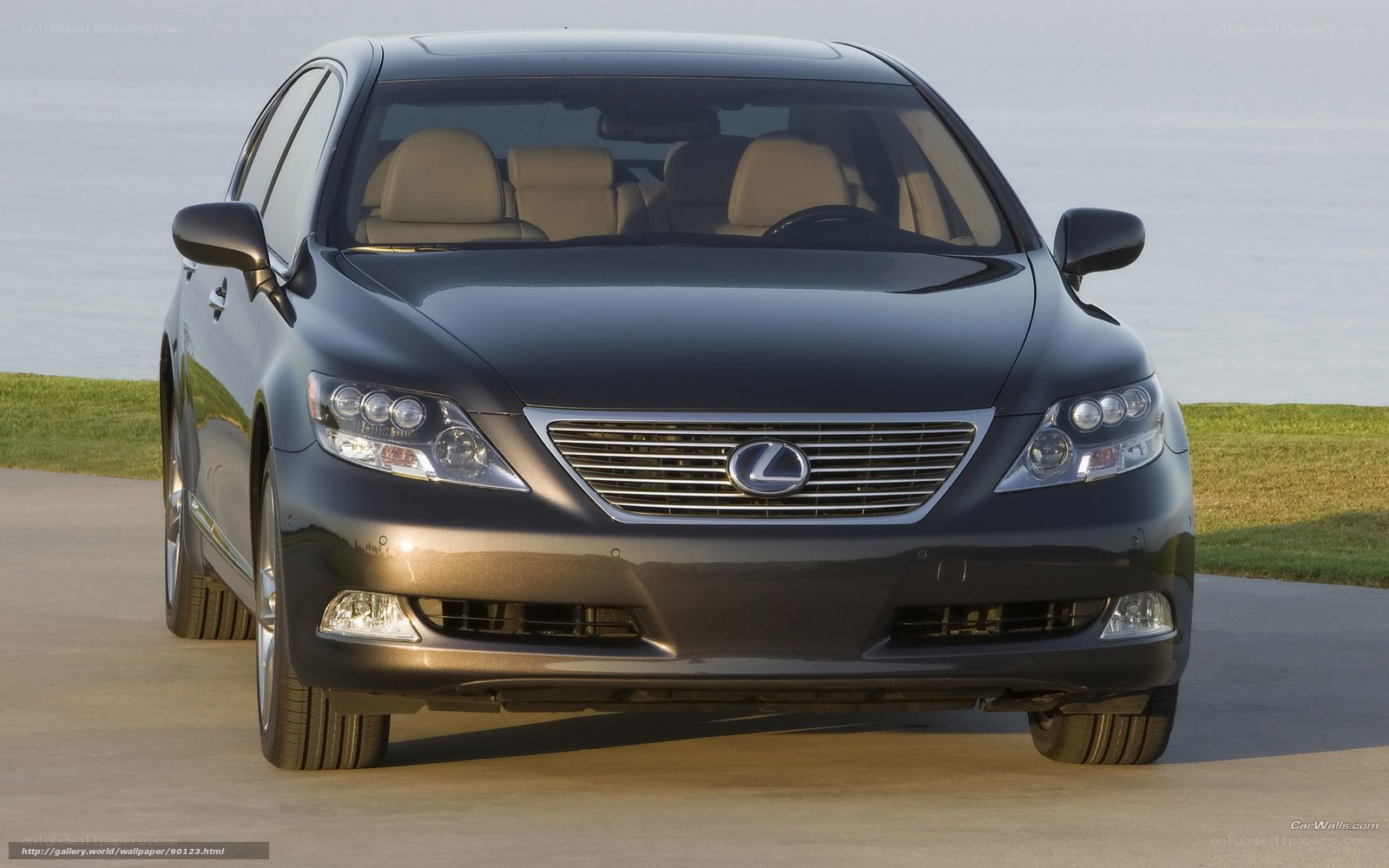 Black Lexus LS sedan