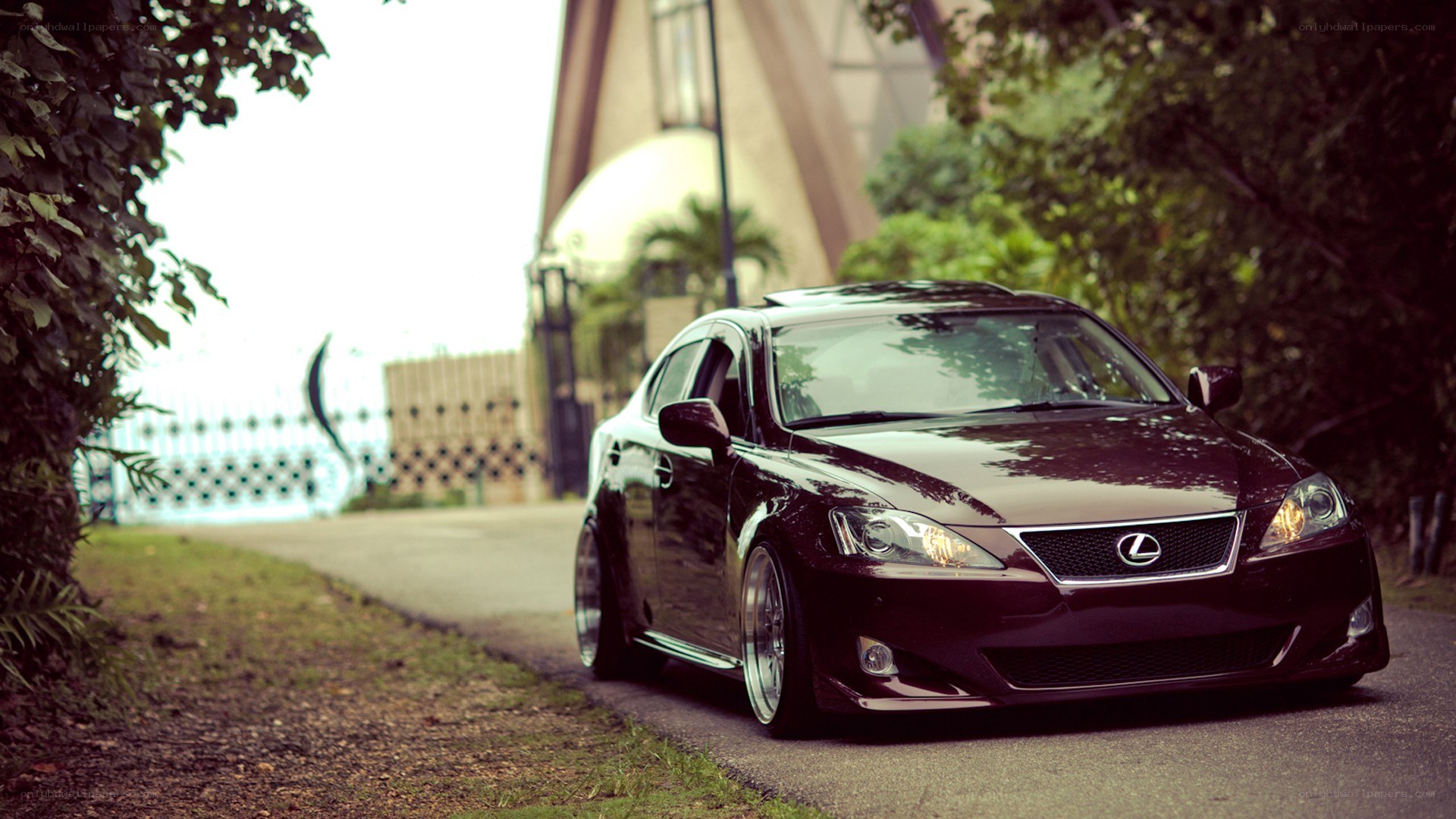 black lexus sedan on a road