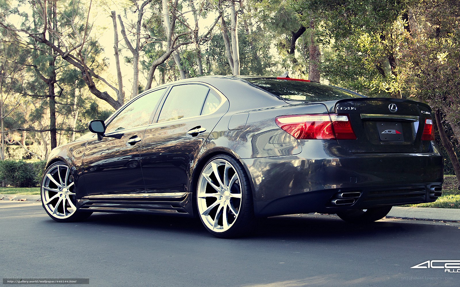 Black Lexus sedan on a street