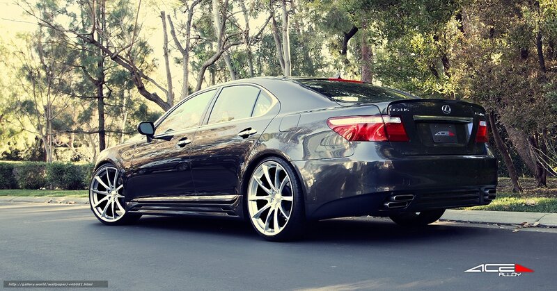 Black Lexus sedan on a tree-lined street