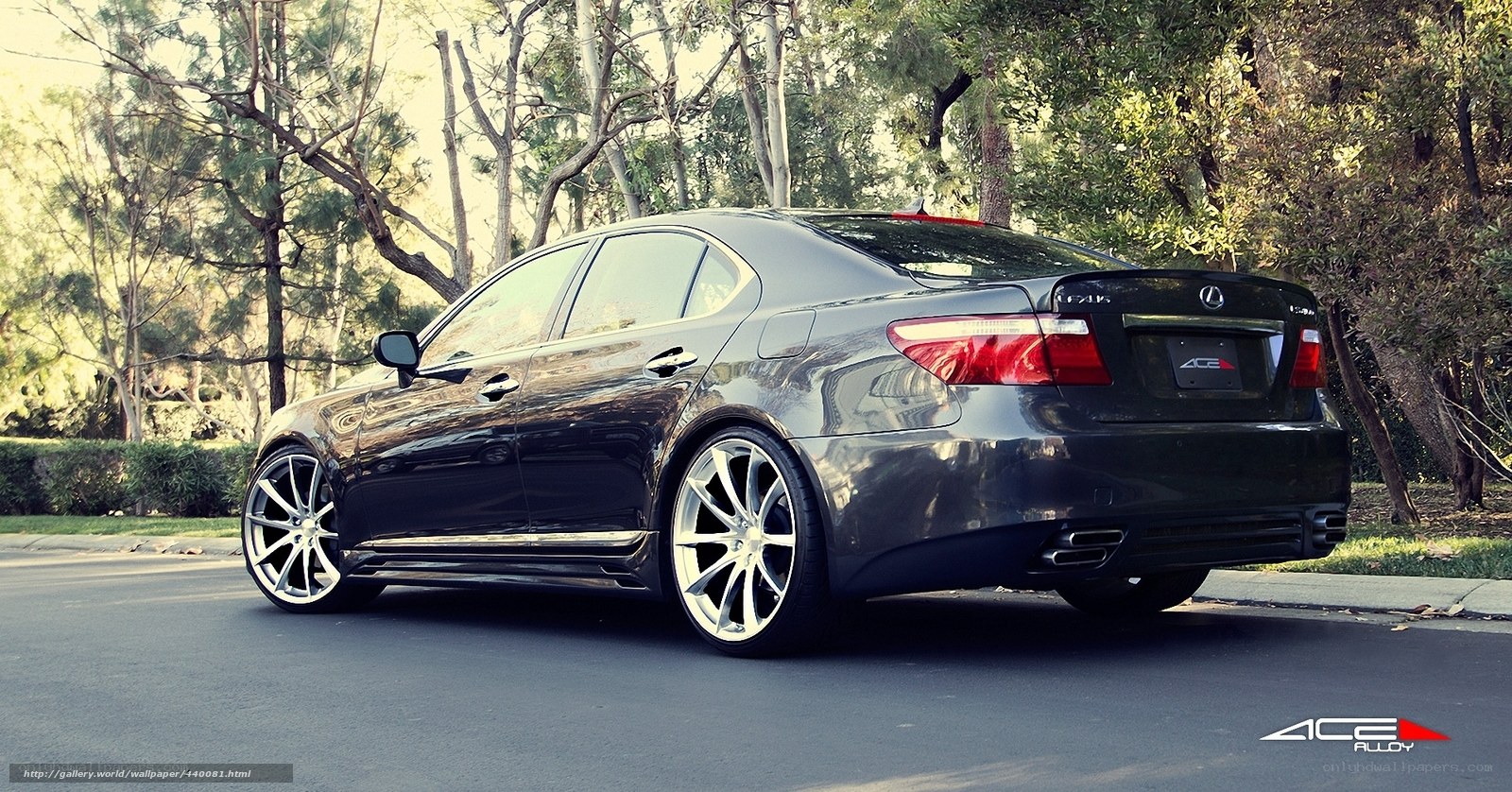 Black Lexus sedan on a tree-lined street