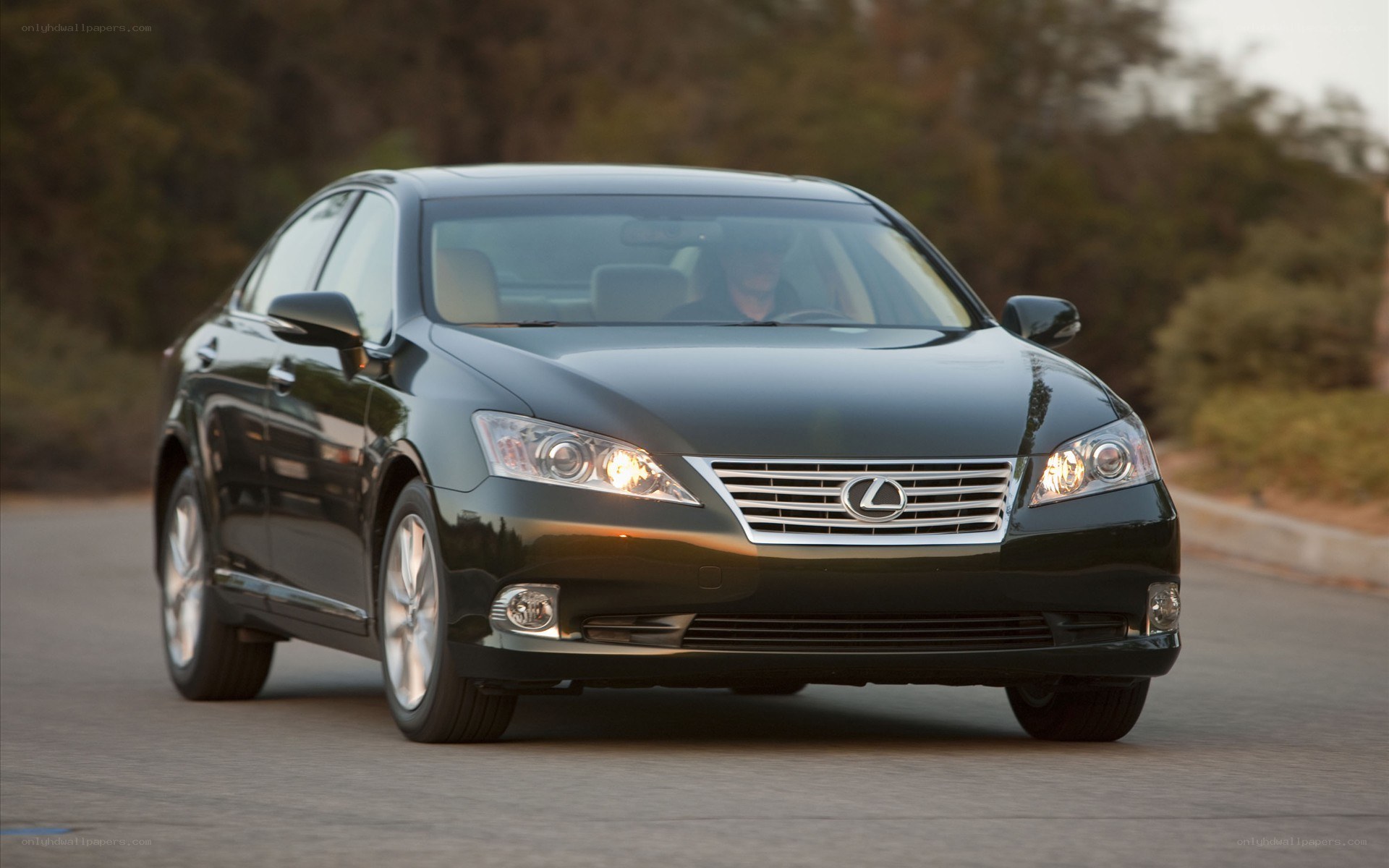Black Lexus sedan on road
