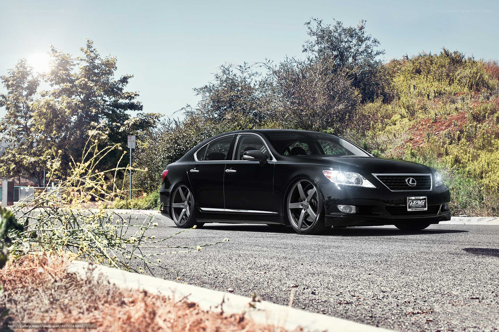 Black Lexus sedan on road