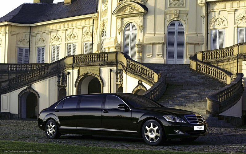 Black limousine in front of palace