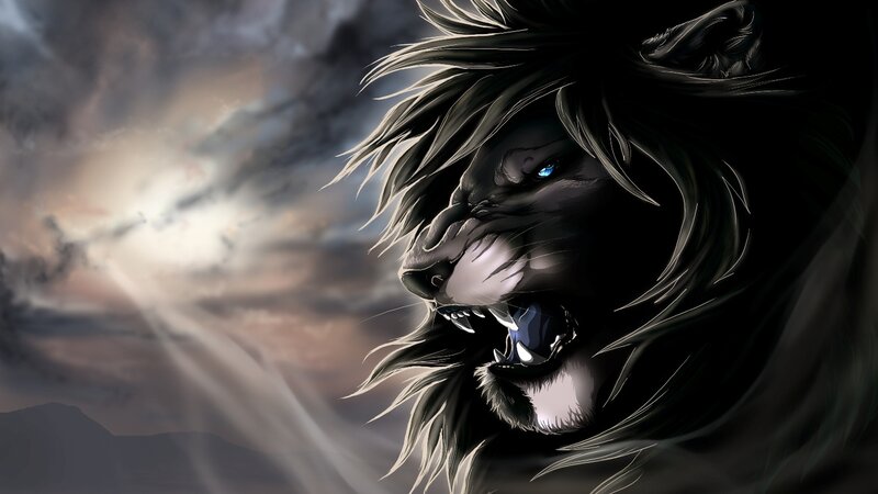 Black Lion with Blue Eyes — Dramatic