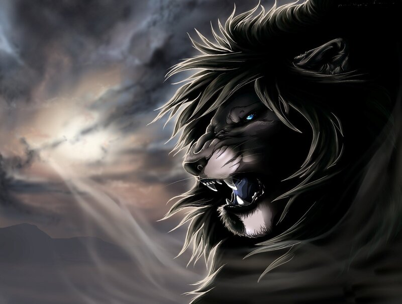Black Lion with Blue Eyes