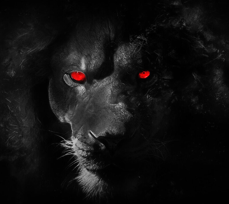 Black Lion with Red Eyes