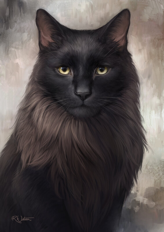 Black Long-haired Cat — Calm, Digital Art