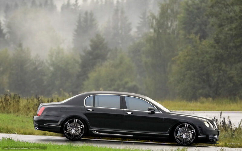 black luxury sedan on road
