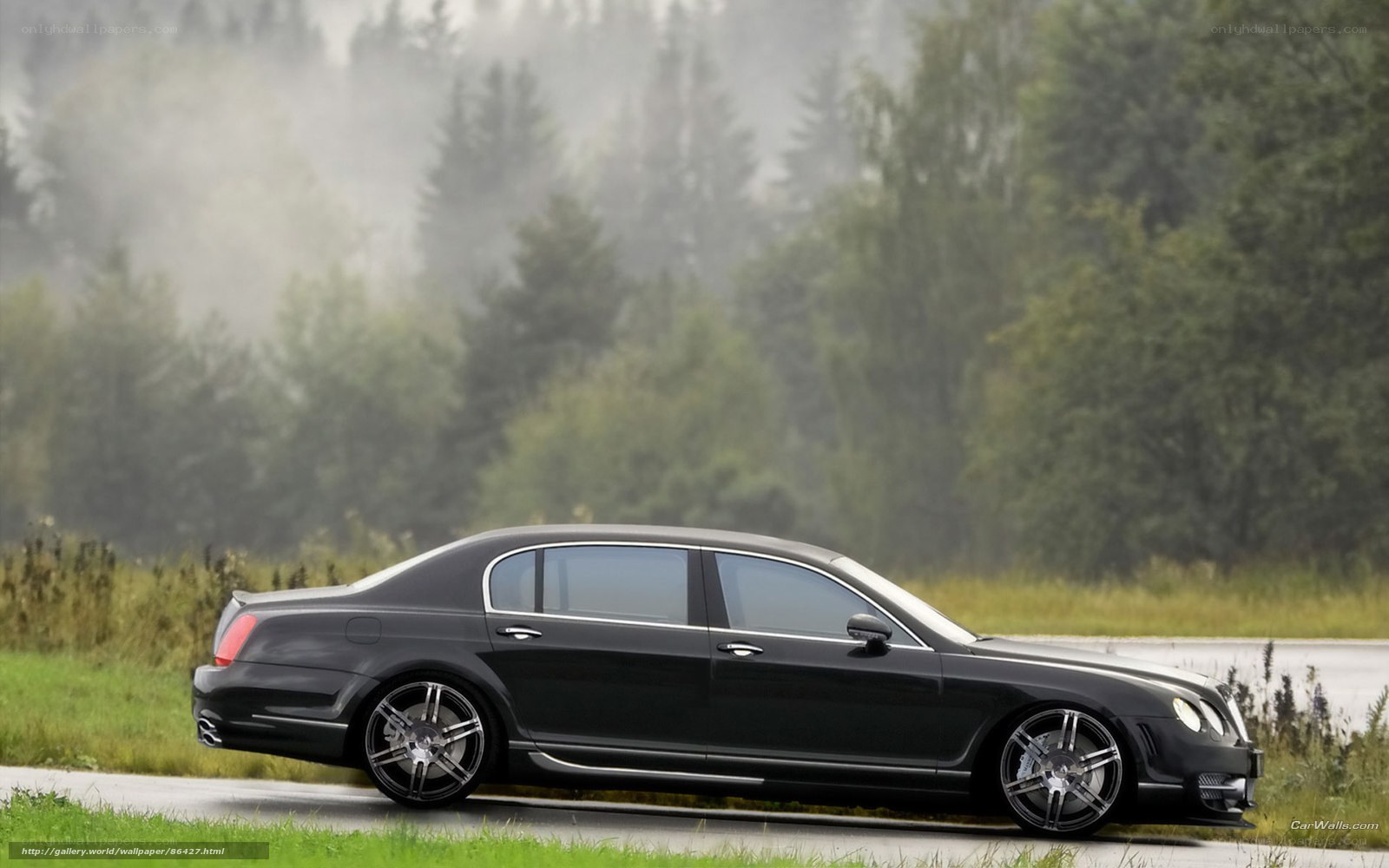 black luxury sedan on road