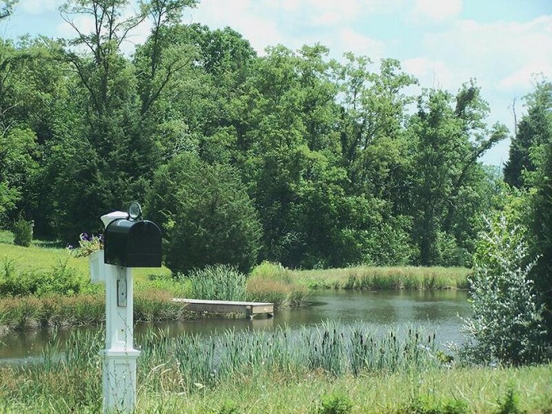 Black Mailbox by Pond