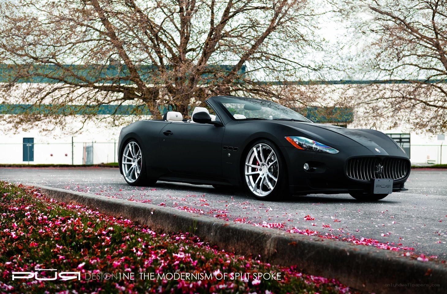 Black Maserati convertible