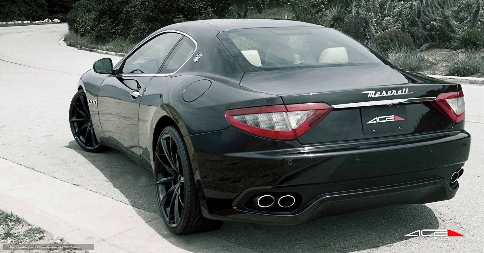 black maserati coupe