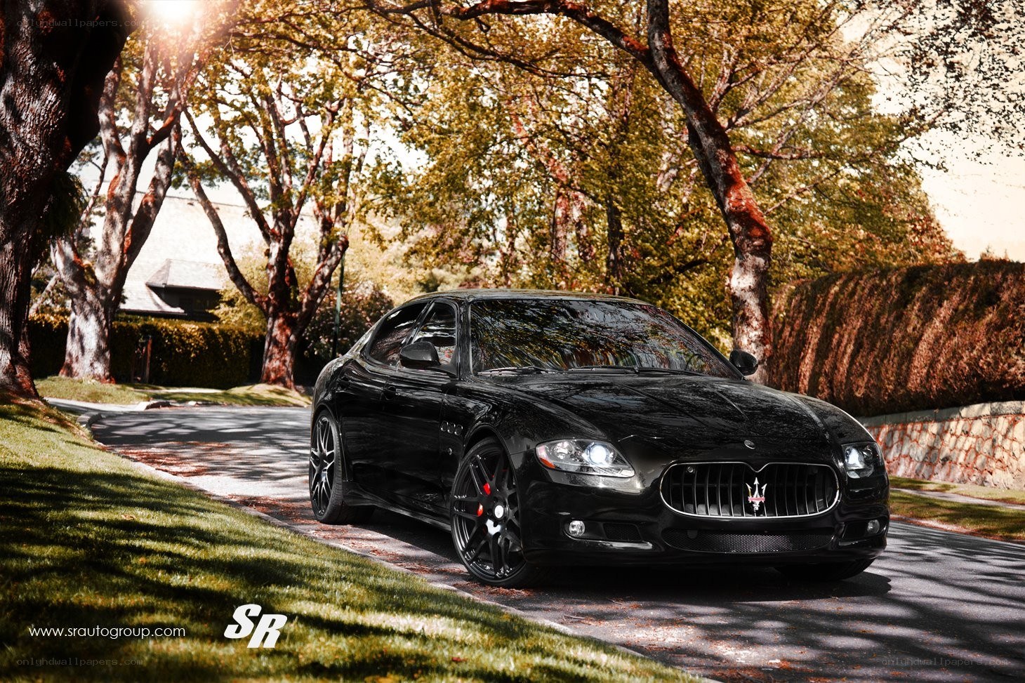 Black Maserati on a tree-lined street