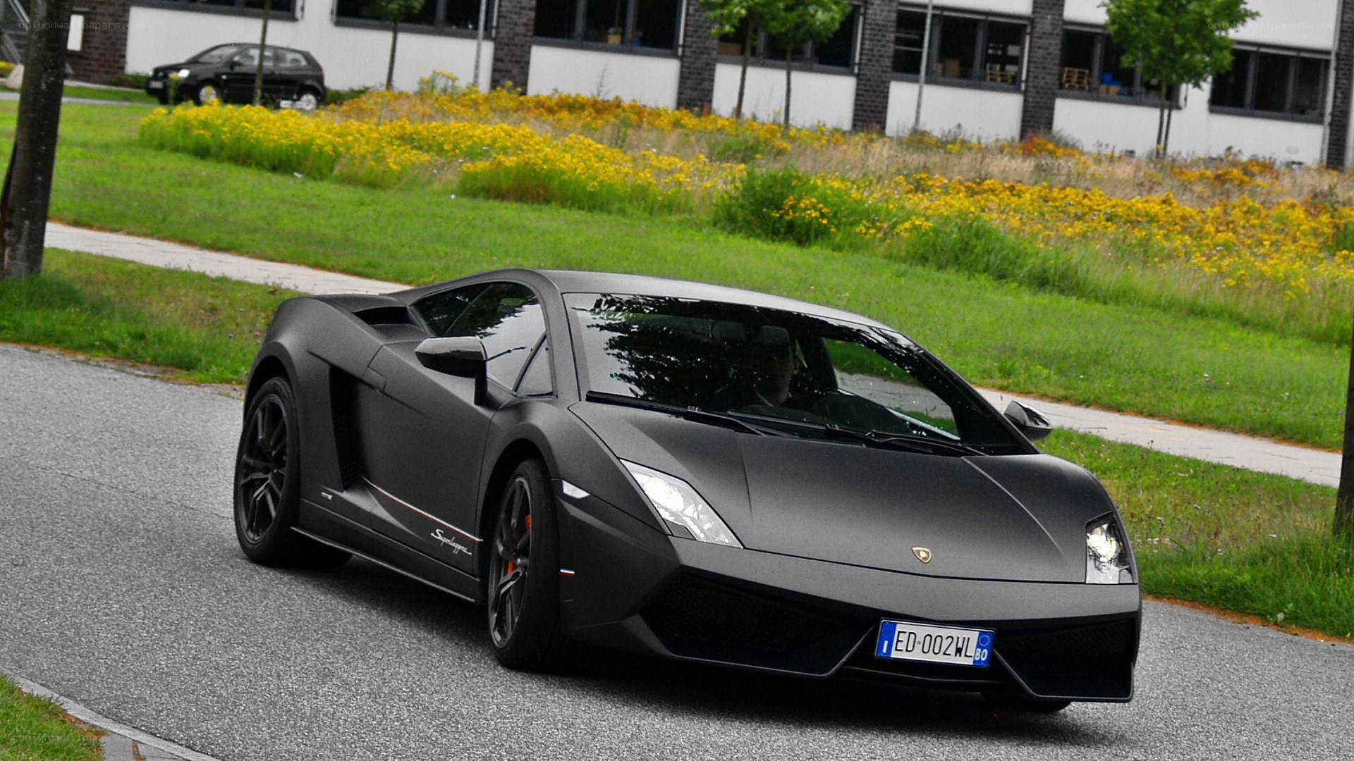 black matte Lamborghini on road