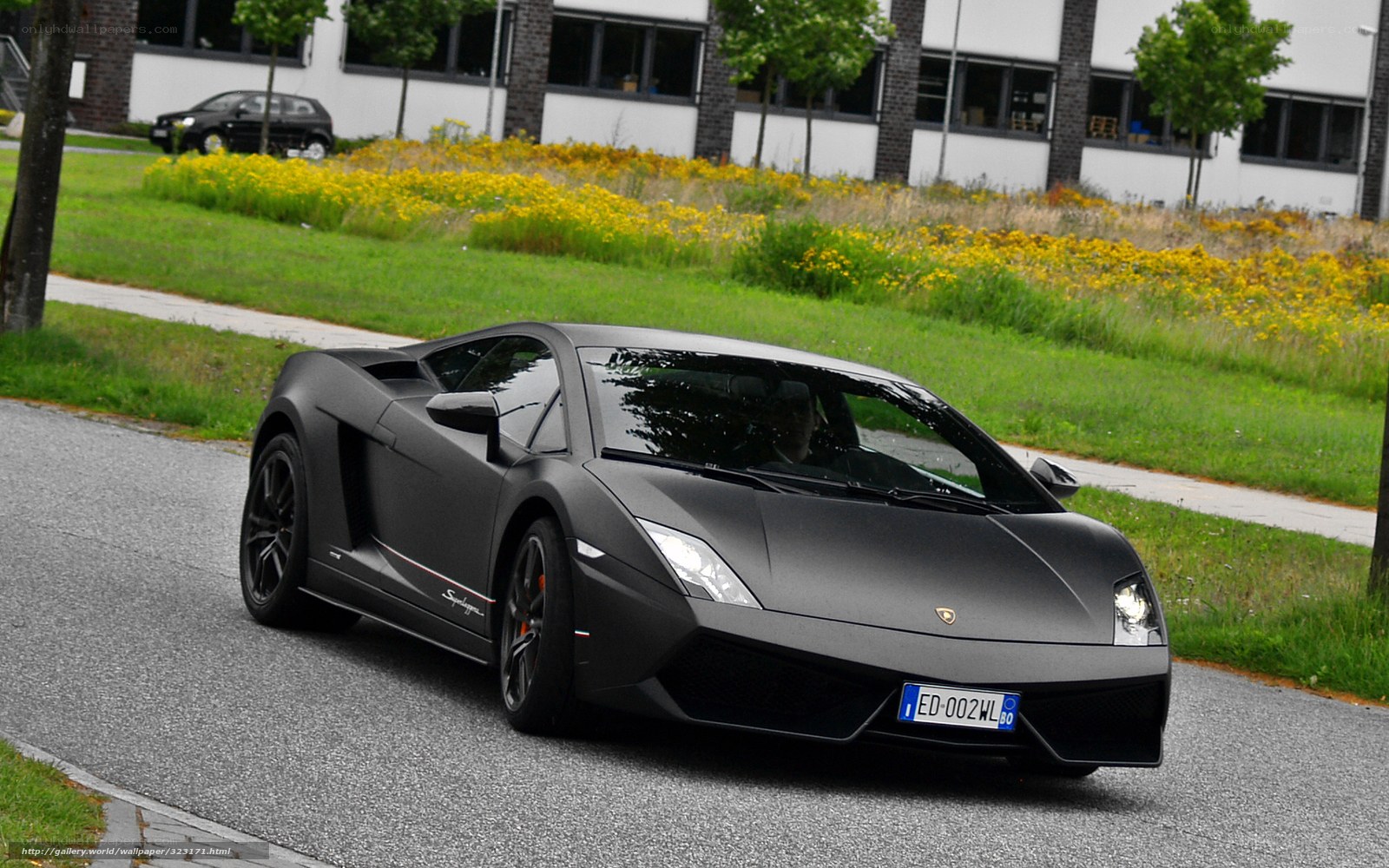black matte lamborghini on road