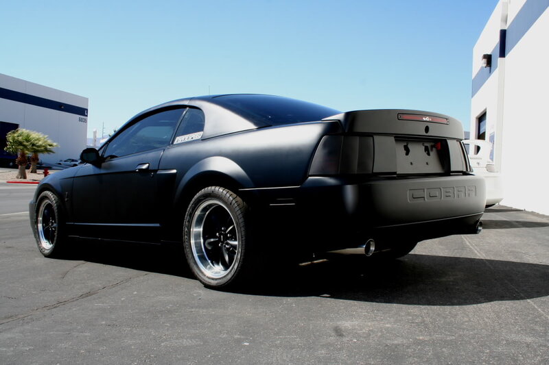 Black Matte Mustang Cobra