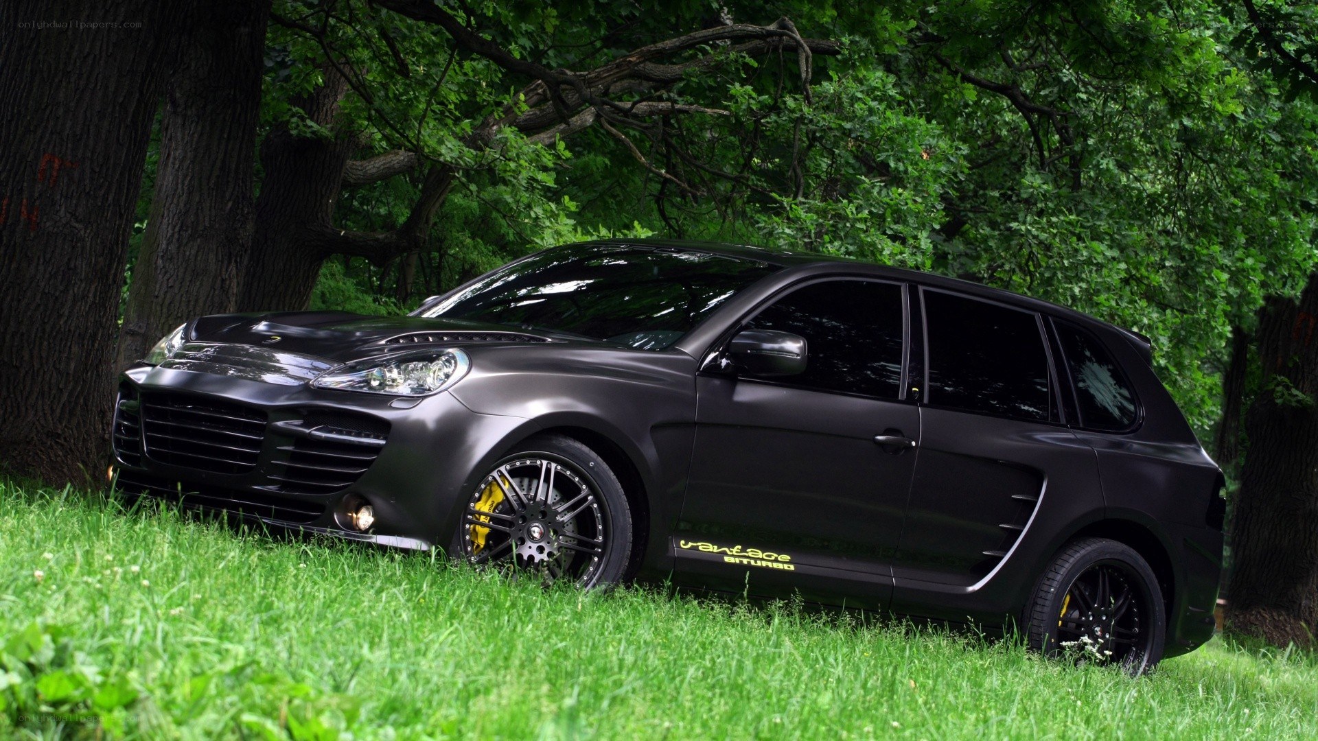 black matte suv in forest