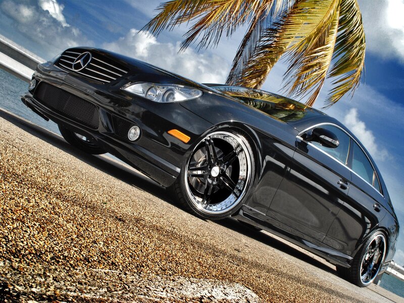 Black Mercedes-Benz CL55 AMG by palm tree