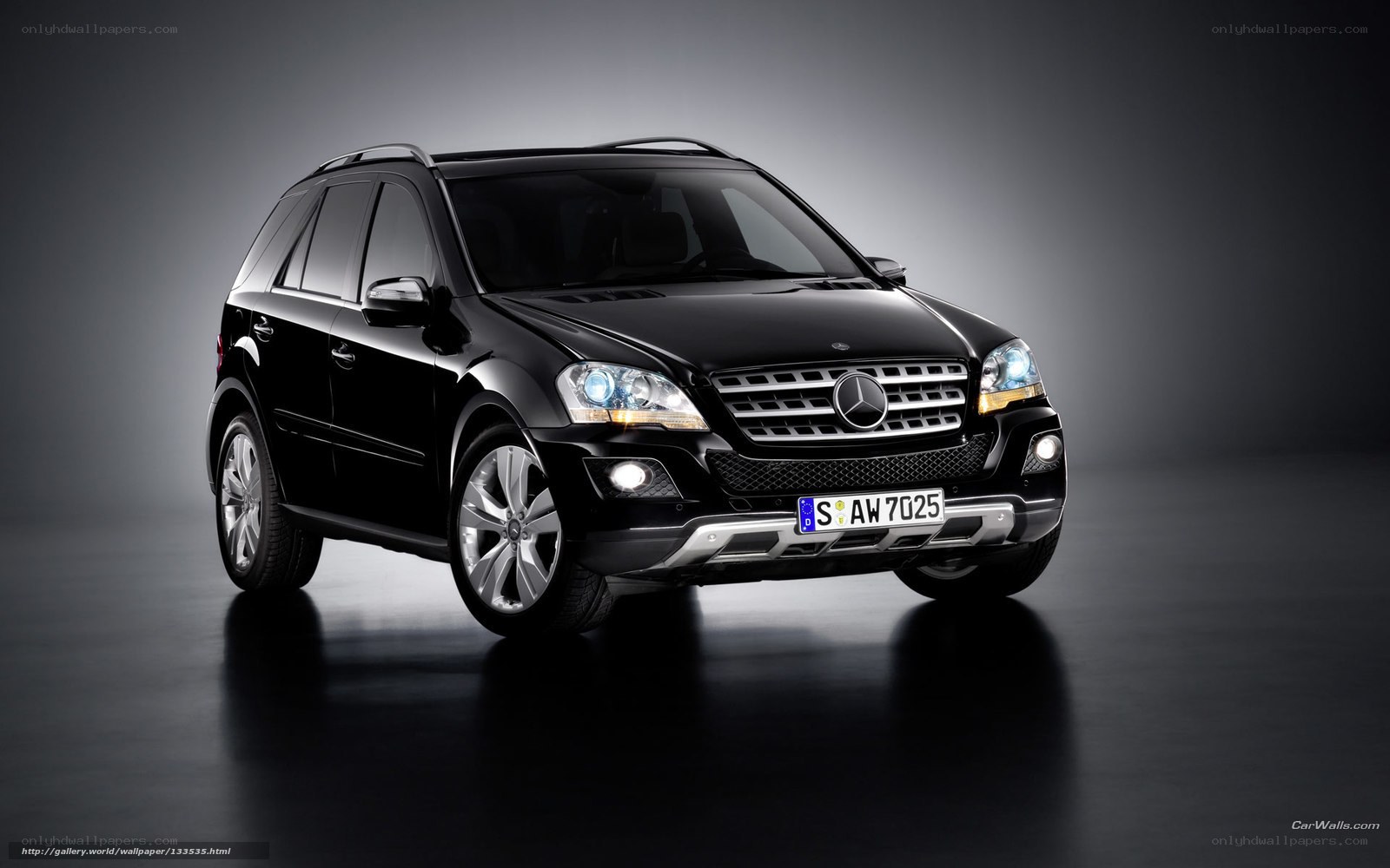 Black Mercedes-Benz ML350