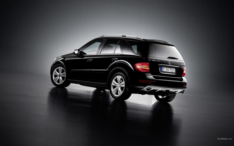 black mercedes-benz ml420 cdi