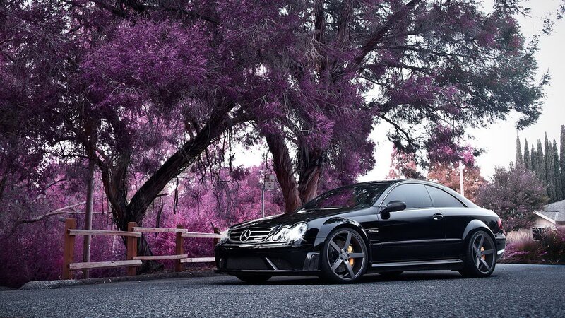 Black Mercedes-Benz on a purple tree-lined road