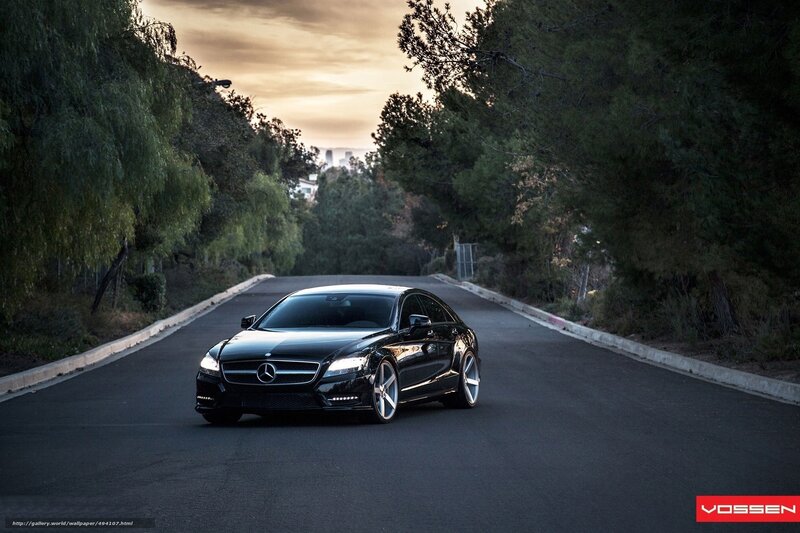 Black Mercedes-Benz on a tree-lined road