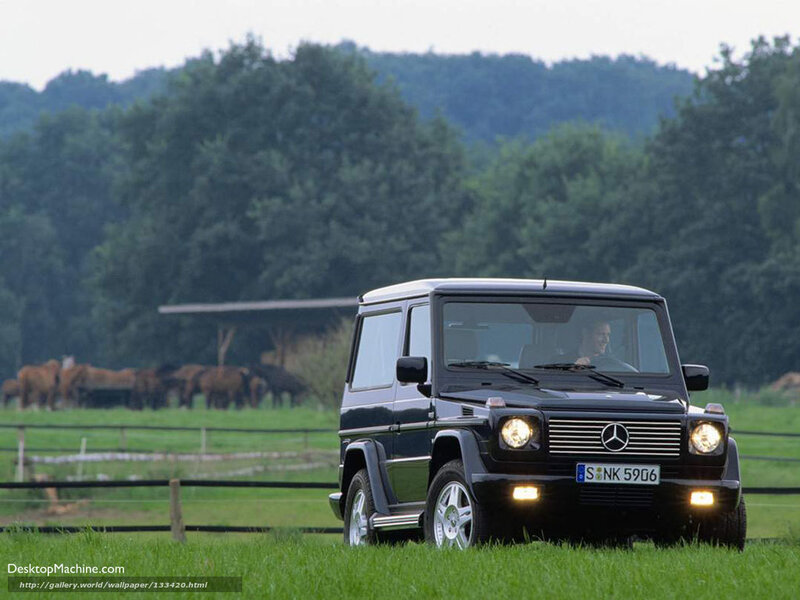 Black Mercedes G-Wagen in a field