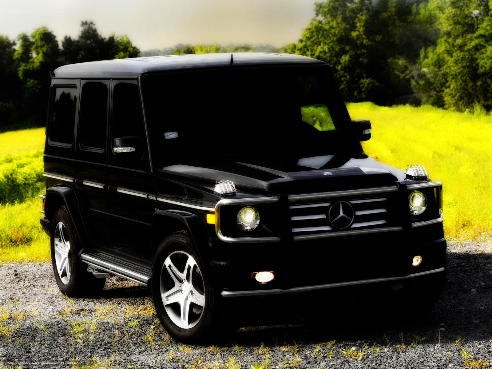 Black Mercedes G-Wagon in field