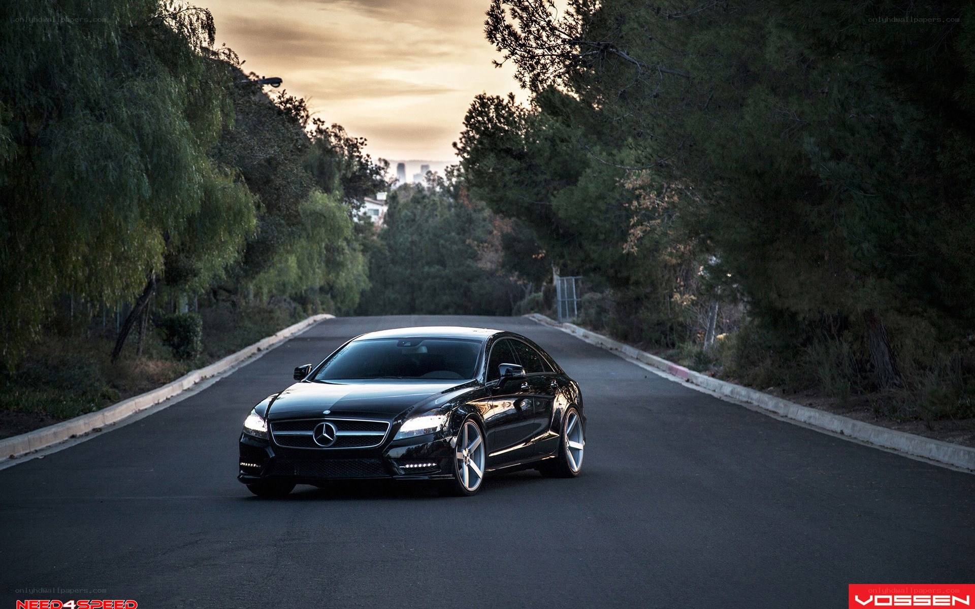 black mercedes on a tree-lined road