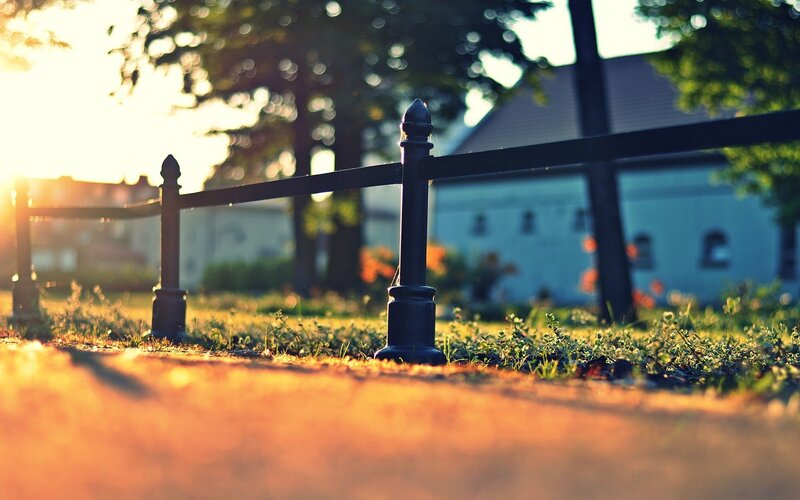 Black Metal Fence — Green
