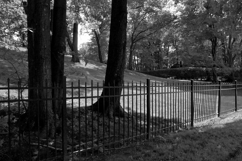 Black Metal Fence in Park