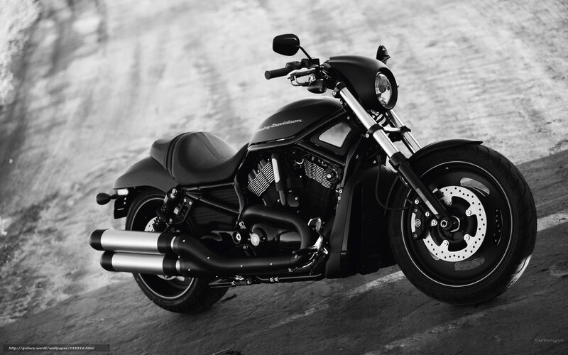 Black Motorcycle — Dramatic, Photograph, Exhaust Pipes