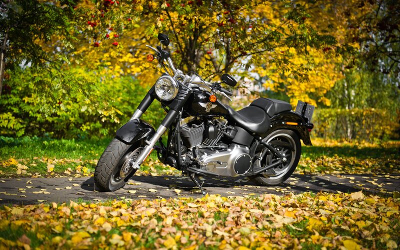 Black motorcycle in autumn park
