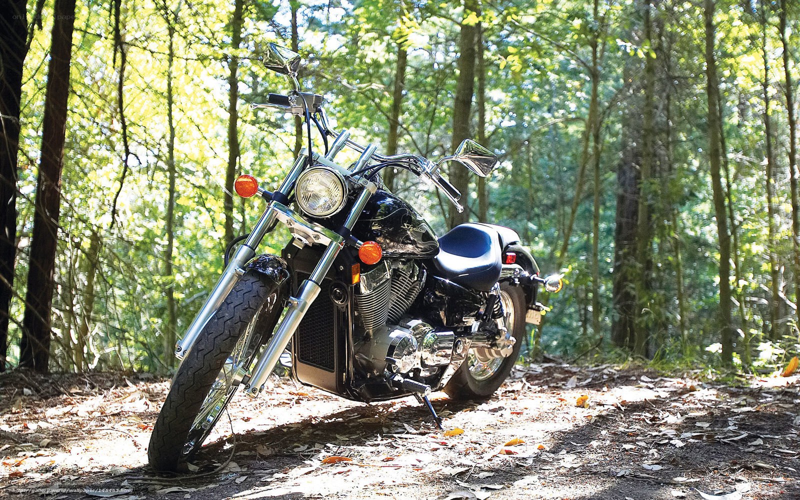 Black motorcycle in forest